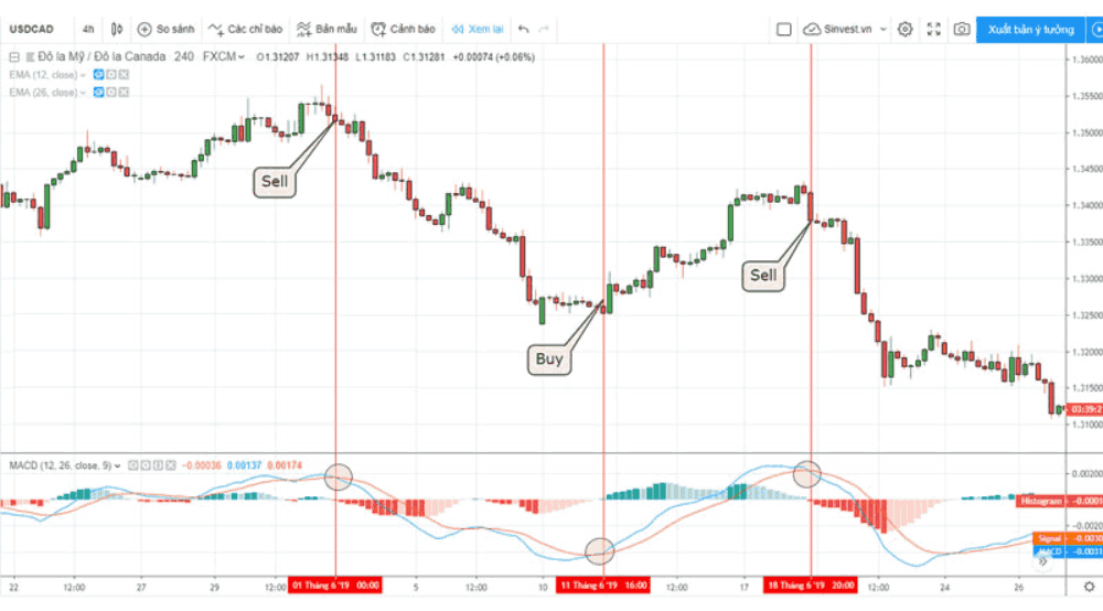 MACD là gì? Hướng dẫn trader cách sử dụng chỉ báo MACD hiệu quả 4 Giao cắt giữa đường MACD và đường tín hiệu