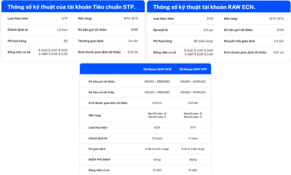 Sàn VT Markets là gì? Đánh giá chi tiết sàn VT Market năm 2025 3 Các loại tài khoản sàn VT Markets