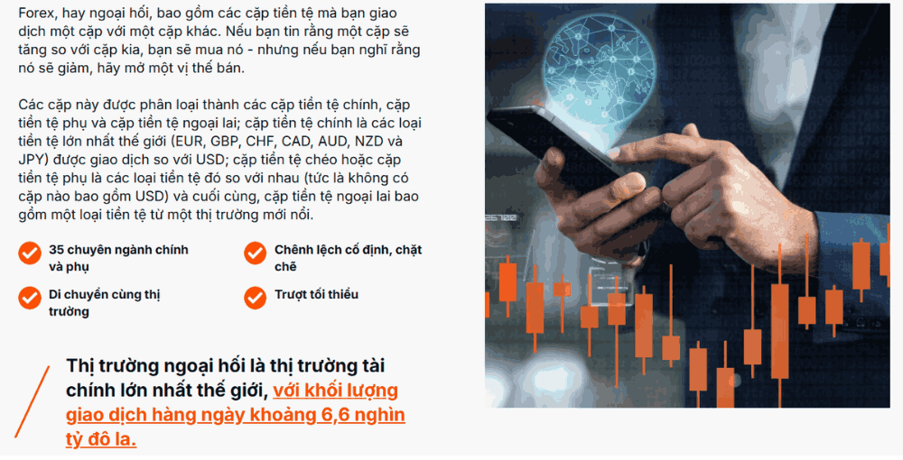 Sàn Trade Nation có uy tín không? Đánh giá chi tiết sàn Trade Nation 3 danh mục sản phẩm sàn trade nation
