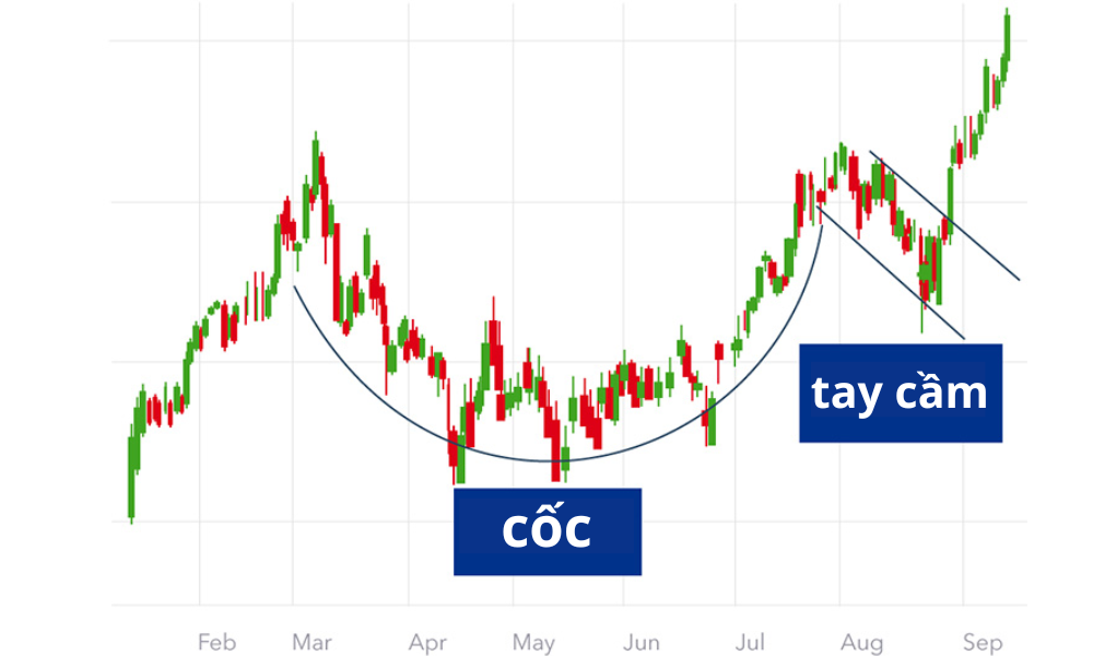 Mô hình cốc tay cầm là gì? Dấu hiệu nhận biết mô hình cốc tay cầm 4 Dấu hiệu nhận biết mô hình cốc tay cầm