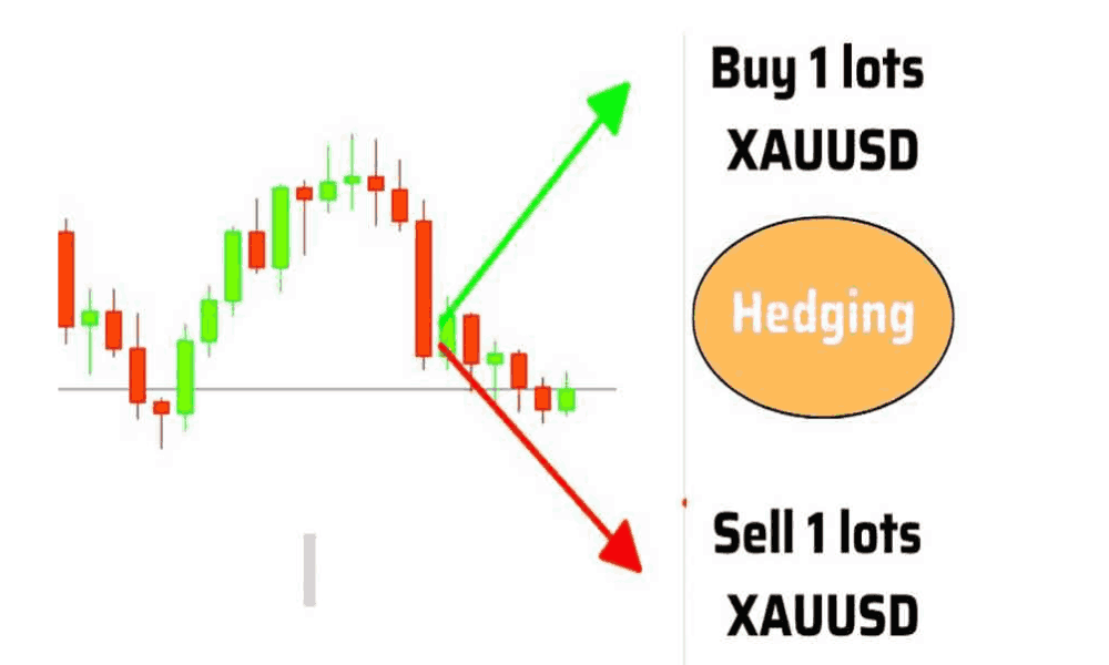 Hedging trong Forex là gì? Cách giao dịch hiệu quả với Hedging 3 Hedging trực tiếp