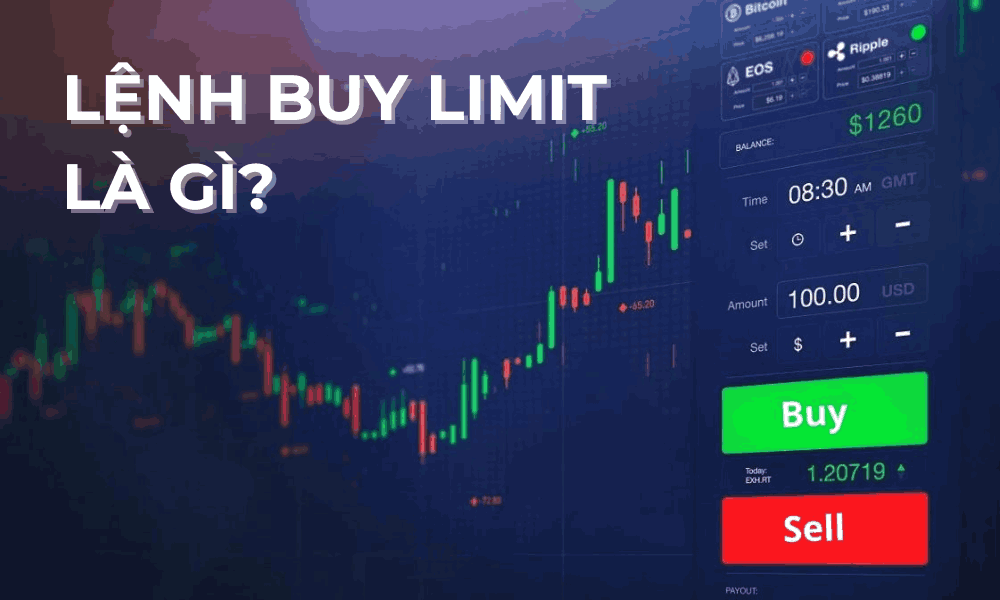 lệnh buy limit là gì