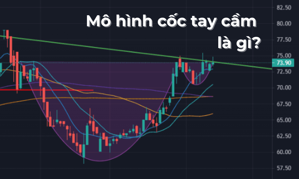 mô hình cốc tay cầm là gì