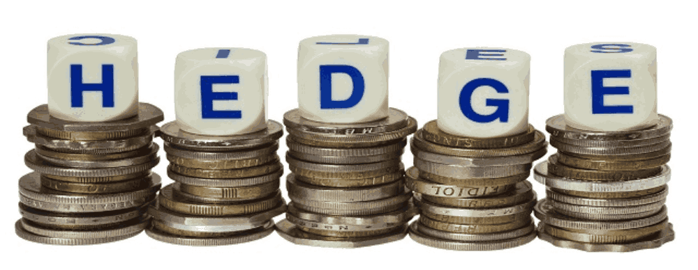 Hedging trong Forex là gì? Cách giao dịch hiệu quả với Hedging 4 Phòng ngừa rủi ro