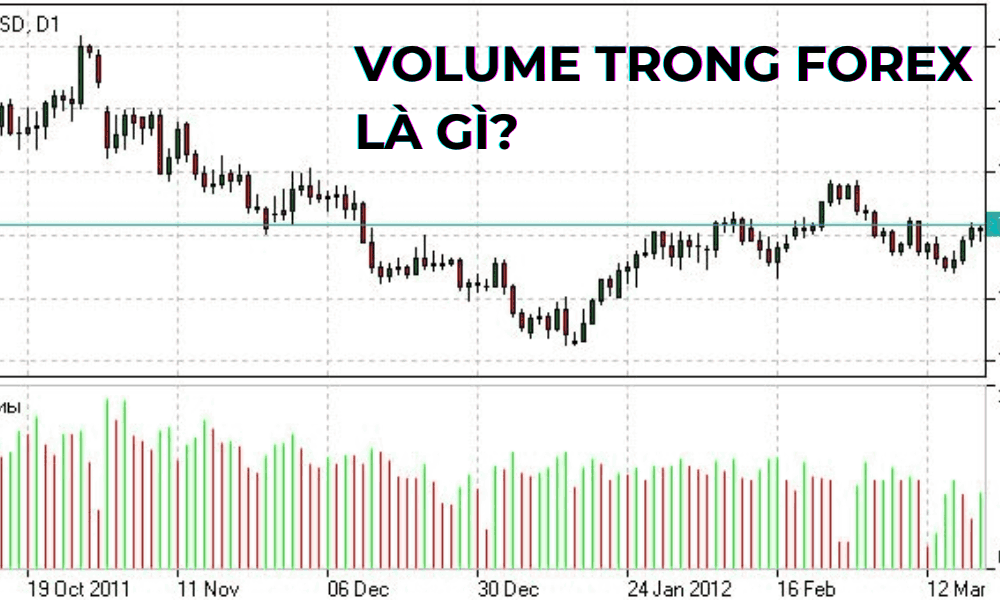 Volume trong Forex là gì? Ý nghĩa của volume trong giao dịch Forex 1 volume trong forex là gì (1)