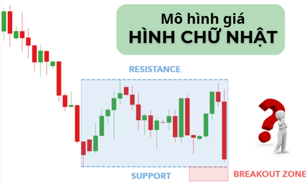 Mô hình giá Hình chữ nhật