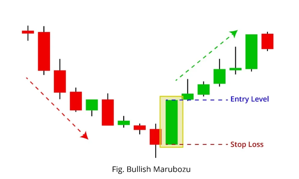 Mô hình nến Marubozu là gì? Các mô hình nến marubozu phổ biến 4 Nến Marubozu tăng (Marubozu Bullish)