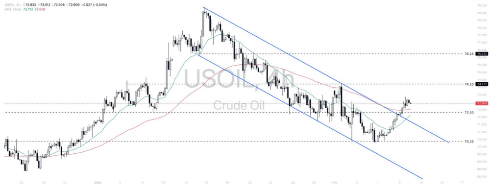 Phân tích thị trường Forex ngày 12/02/2025 9 Phân tích kỹ thuật WTI crude oil (USOIL) ngày 12/02/2025