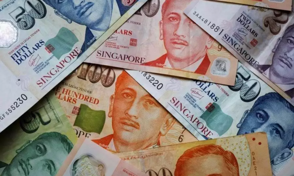 SGD là gì? Những yếu tố ảnh hưởng trực tiếp đến giá trị của đồng SGD 4 Các yếu tố tác động đến đồng SGD