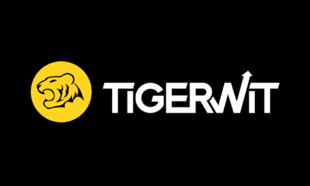 Sàn TigerWit có lừa đảo không? Đánh giá chi tiết sàn TigerWit 2025 3 Các loại tài khoản sàn TigerWit