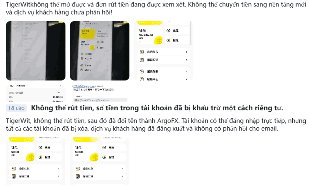 Sàn TigerWit có lừa đảo không? Đánh giá chi tiết sàn TigerWit 2025 6 Nhà đầu tư không thể rút tiền