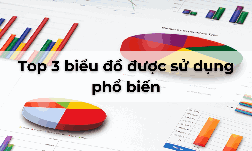 bieu do duoc su dung pho bien 1