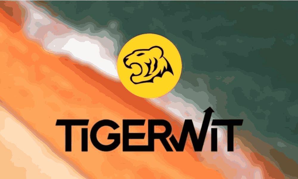 đánh giá Sàn TigerWit