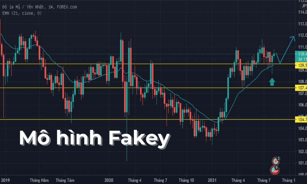 mô hình Fakey