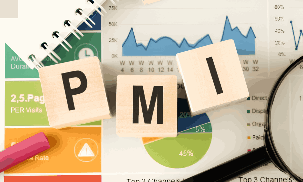 tìm hiểu chỉ số pmi