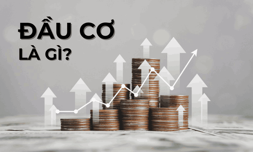 tìm hiểu về đầu cơ