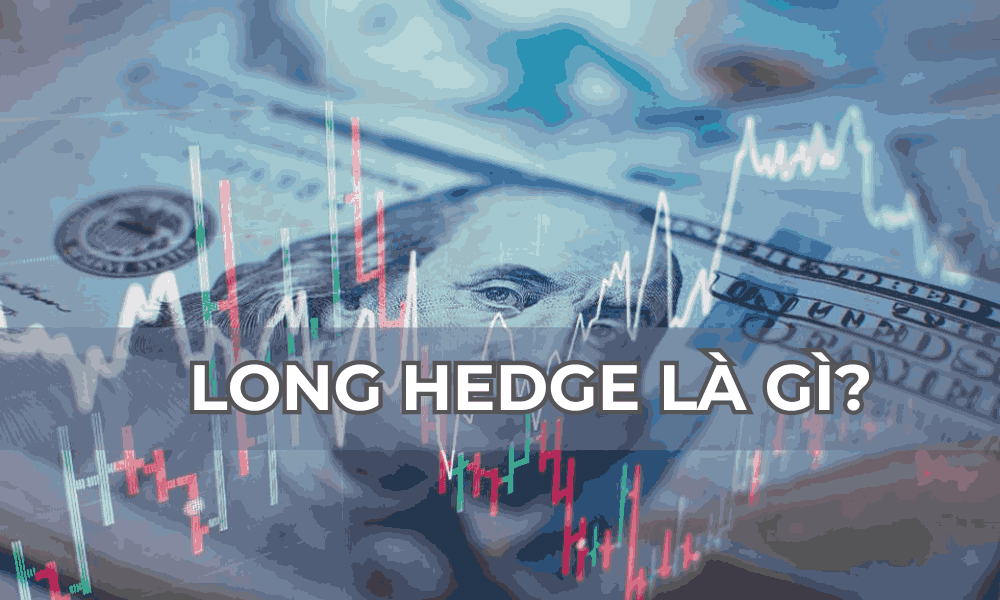 Long hedge là gì