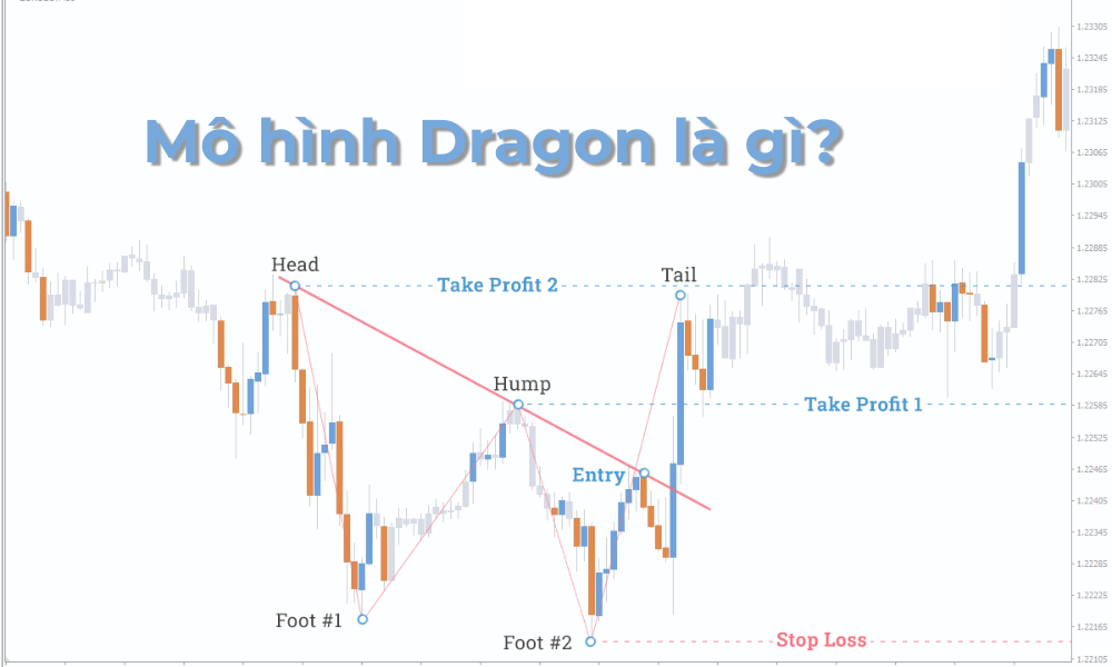 Mô hình Dragon