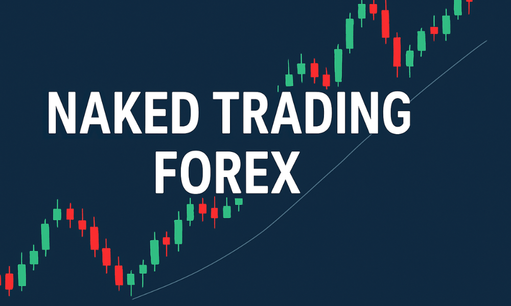Naked Trading là gì? Ưu điểm và nhược điểm của Naked Trading 3 Thành phần của Naked Trading