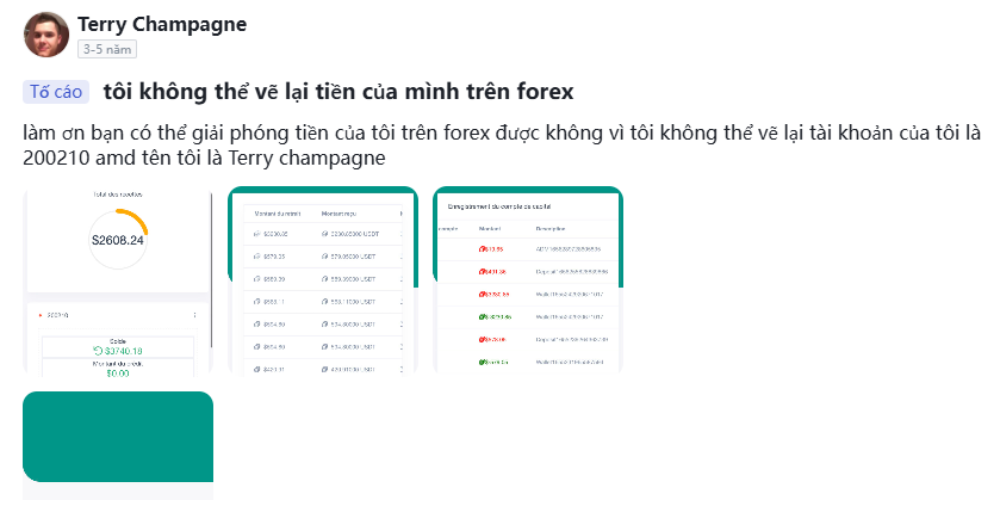 Sàn FOREX EXCHANGE là gì? Có nên giao dịch tại sàn này năm 2025 không? 3 Đánh giá từ người dùng Terry Champagne