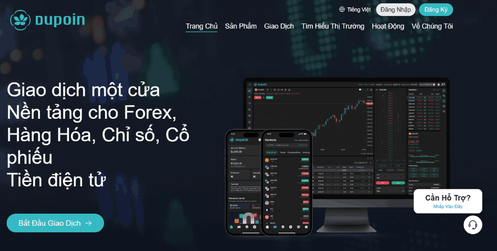 tổng quan sàn dupion