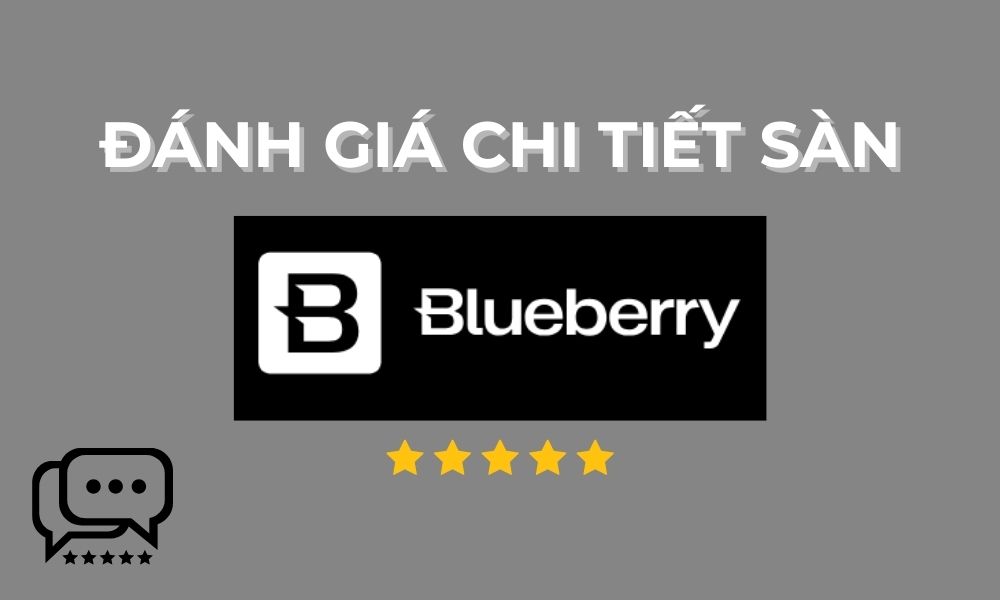 đánh giá sàn blueberry
