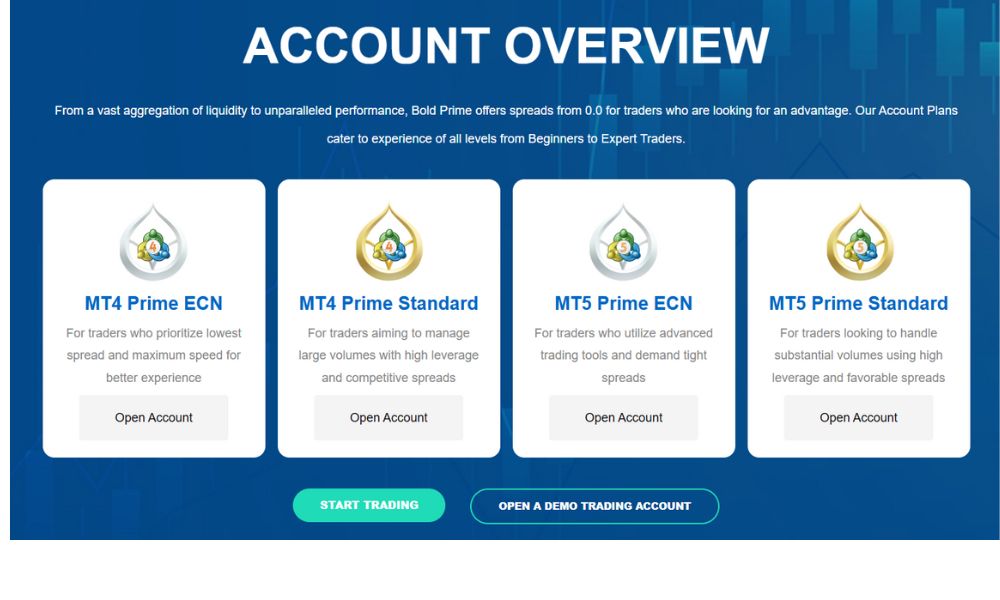 các loại tài khoản sàn bold prime