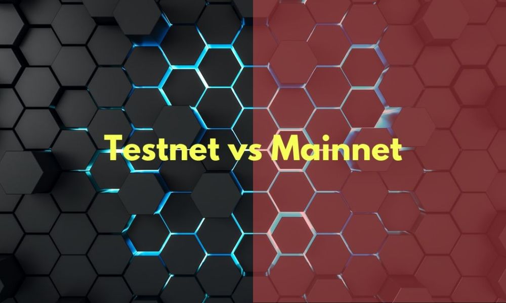 Phân biệt Mainnet và Testnet