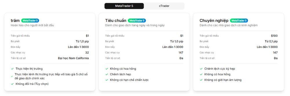 thông tin các loại tài khoản sàn emar markets