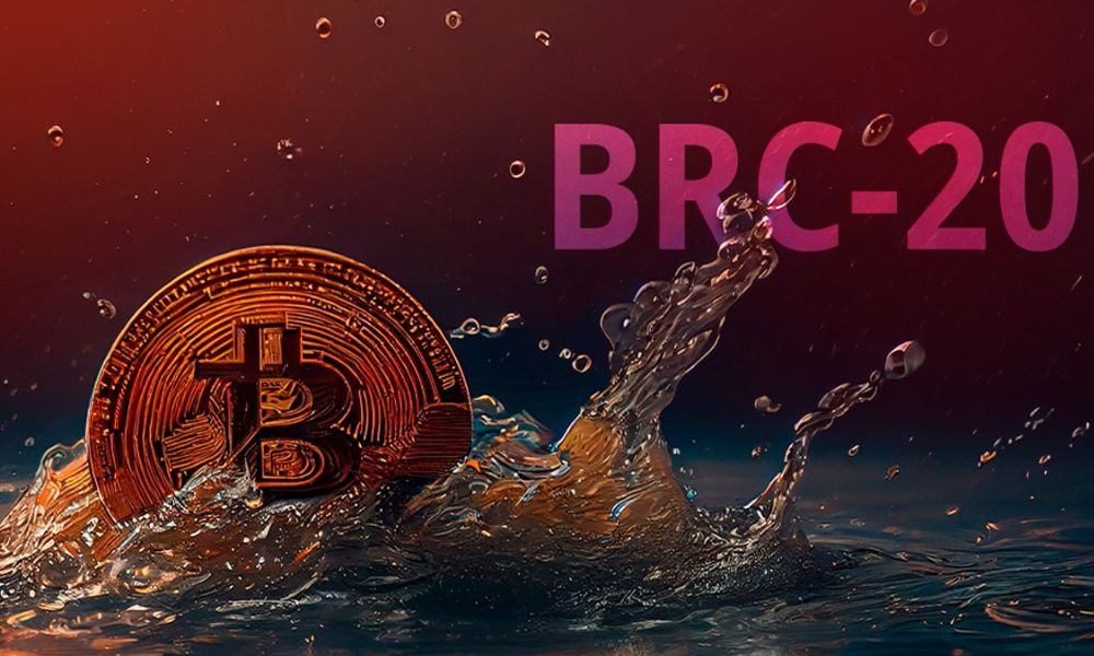 Ưu và nhược điểm của tiêu chuẩn BRC-20